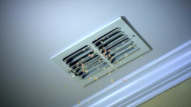 Best Ventilation Cleaning Services  in Mililani Mauka, HI